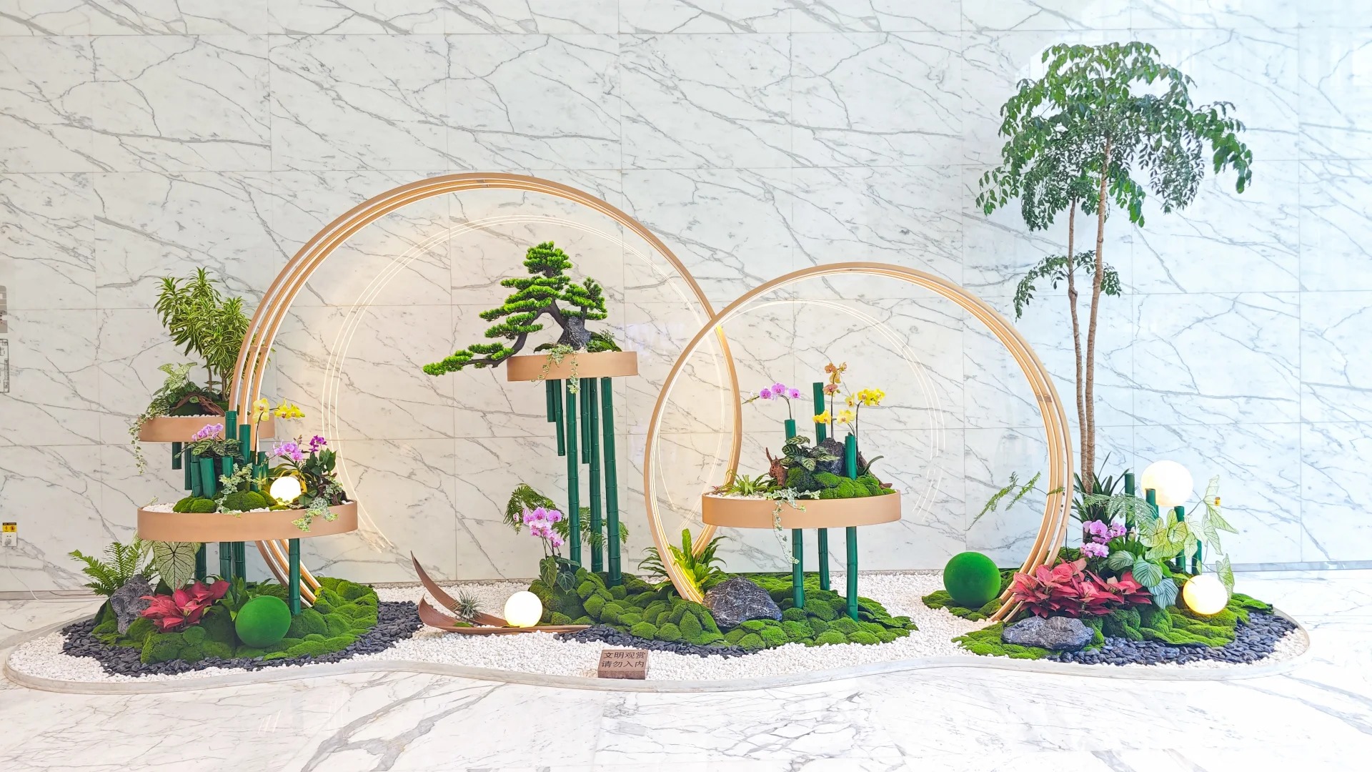 专业植物租赁，点亮宁波前湾的生态之光！